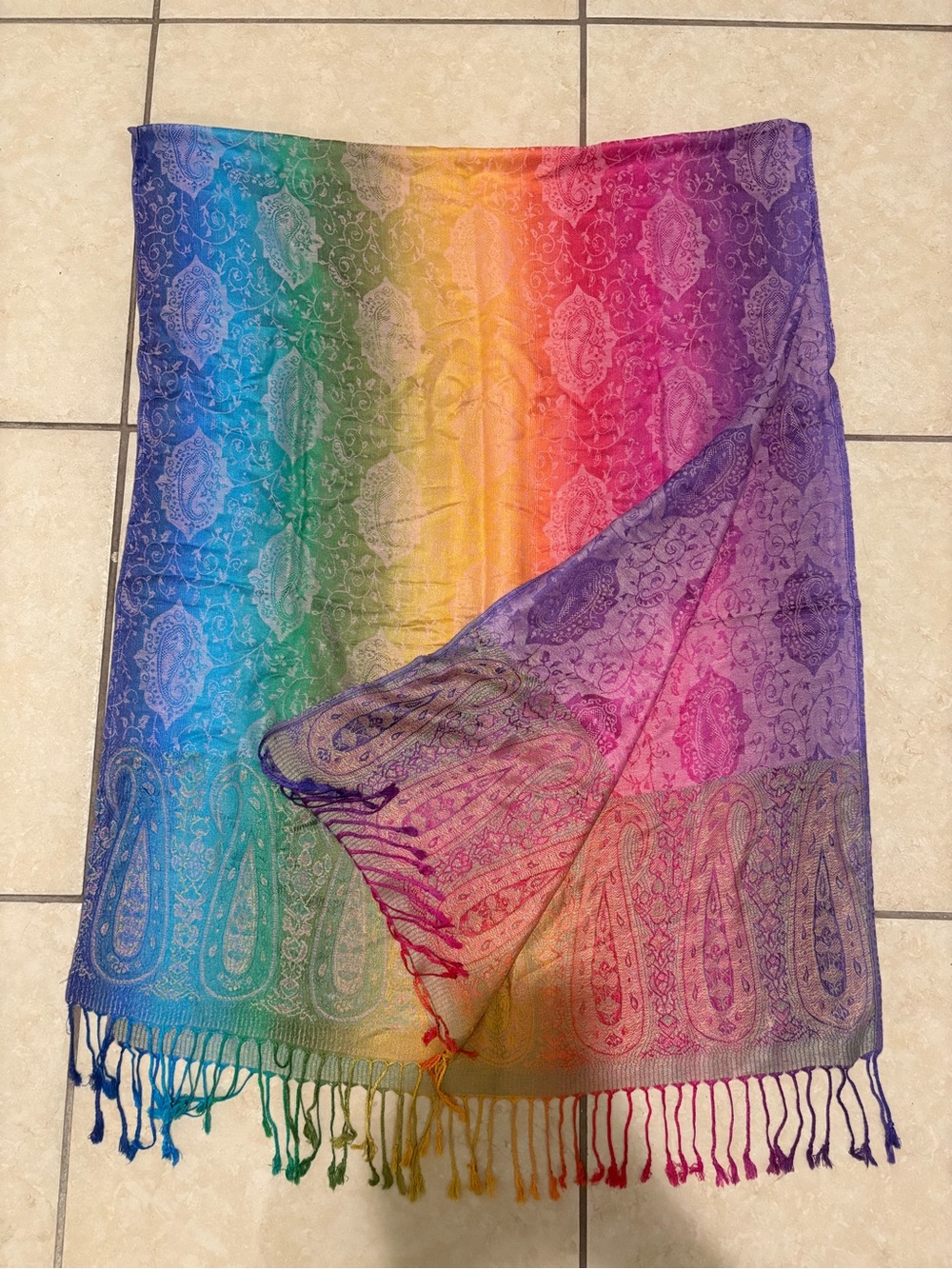 pashmina Multicolor Rainbow Paisley Shawl with Fringe